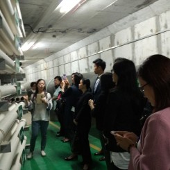 IMG_20171115_160720.jpg